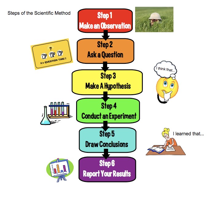 Scientific Method Online Worksheets Grade 7 Science Worksheets Packages