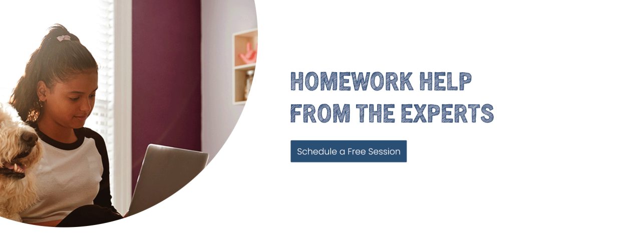 school homework help online