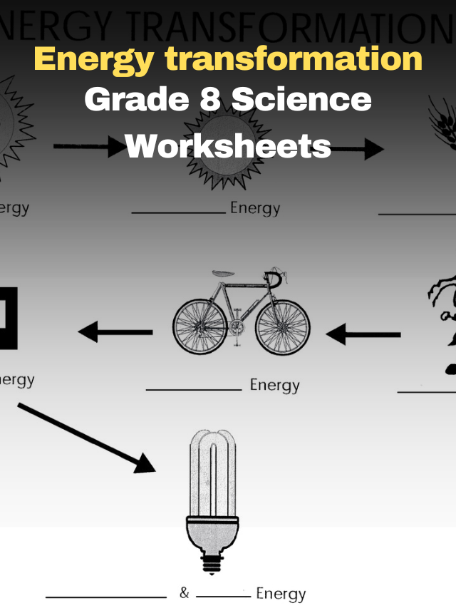 Transformation Worksheets