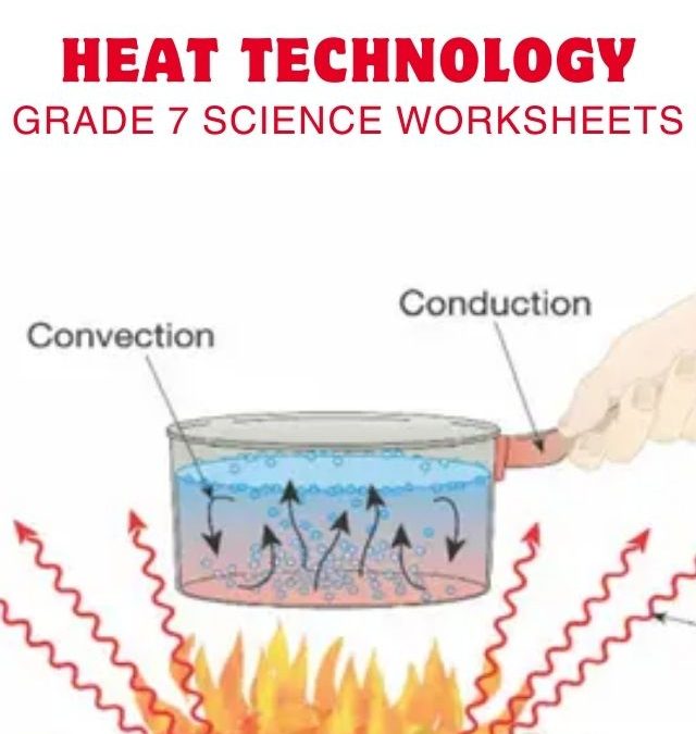 Essentials of Heat Transfer Dynamics