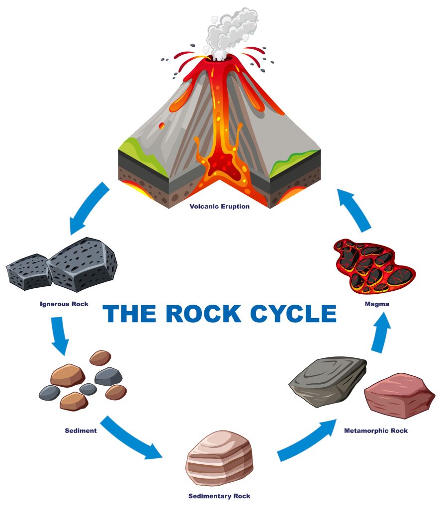 Sedimentary, Igneous, and Metamorphic Rock Cycle