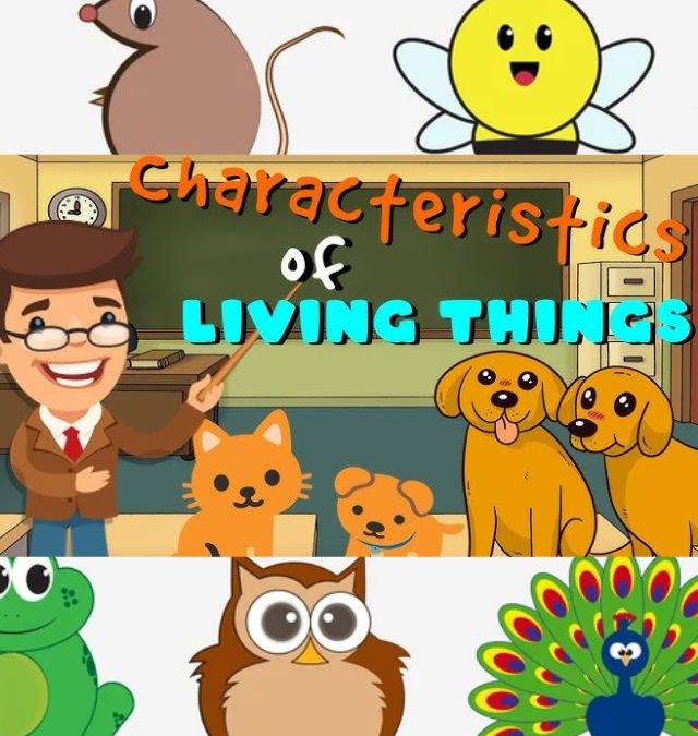 7 Characteristics of Living Things Grade 7 Science Worksheets