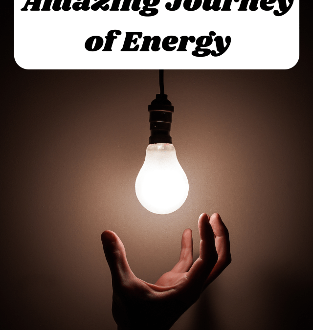 The Amazing Journey of Energy!
