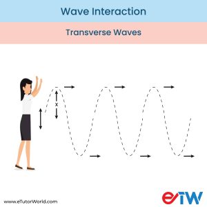 wave interaction