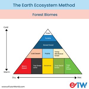 The Earth Ecosystem – Grade 7 Science Worksheets