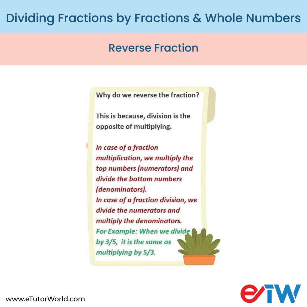 fractions and whole numbers