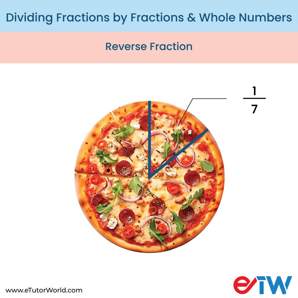 fractions and whole numbers