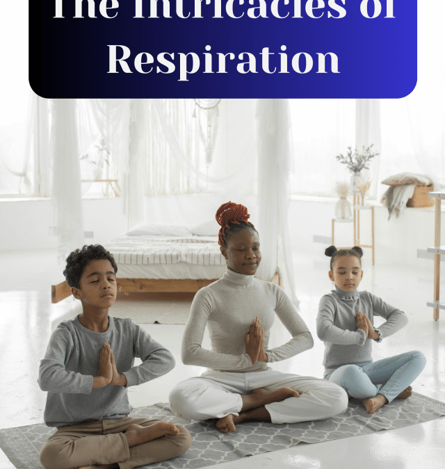 Breath and Life: Exploring the Human Respiratory System